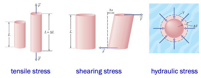 Elasticity-1