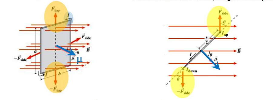Magnetism - 磁学-1